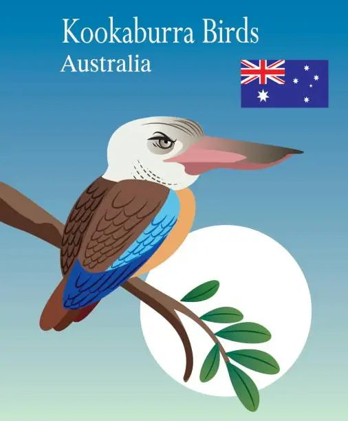 Vector illustration of Vector Kookaburra Birds