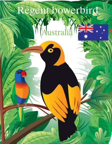 Vector illustration of Regent Boverbird
