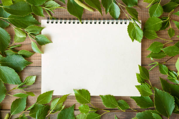 istock green leaves on a wooden table. birch 810886674