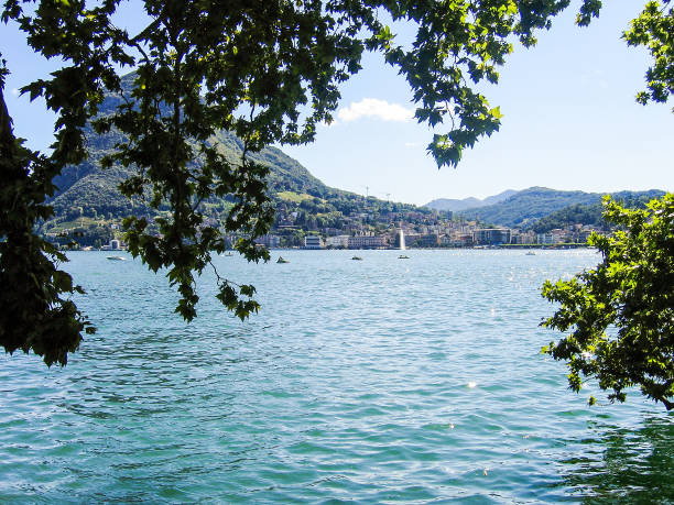 view of lugano lake in city during summer with green tree leaves on branches hanging - switzerland ticino canton lake lugano imagens e fotografias de stock