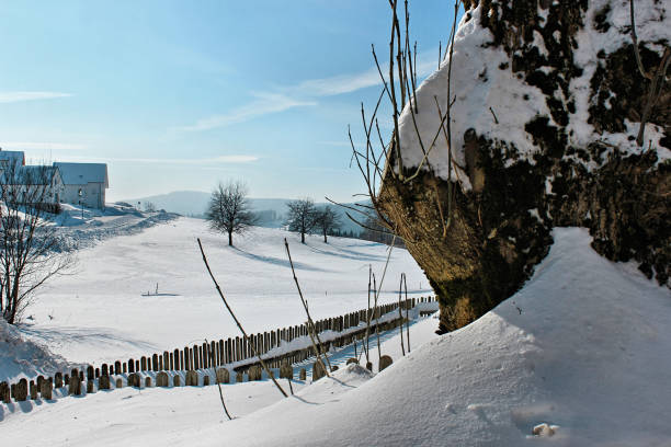 istock Winter in Breitnau in the Black Forest, Germany 810897510
