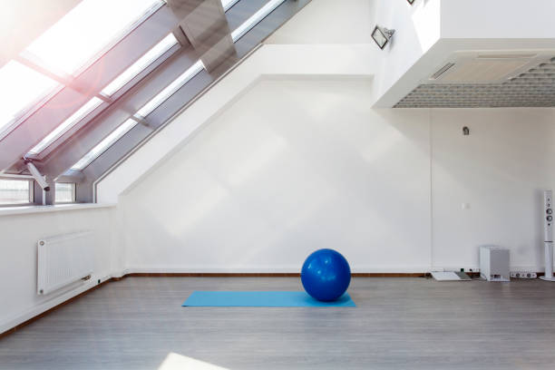 istock Gym for fitness exercises 810906268