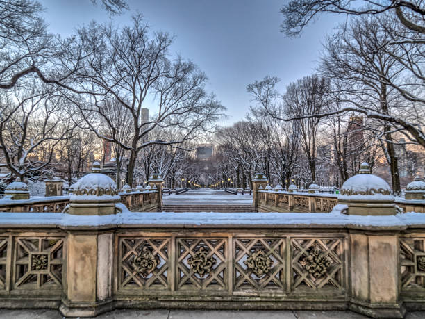 istock Central Park Mall  in winter 810922530
