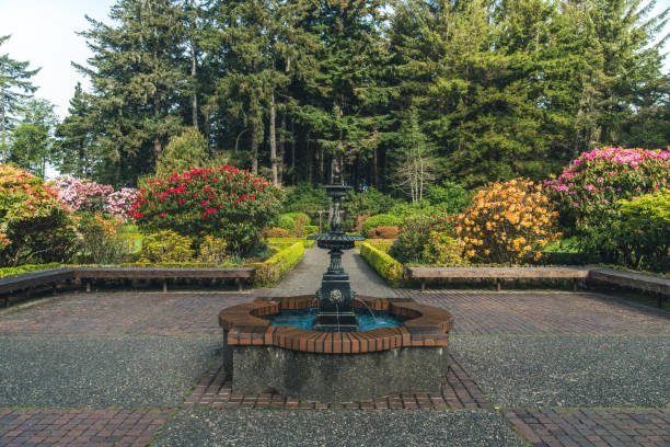 istock Lush flower garden. 810940256