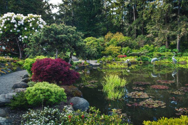 istock Lush flower garden. 810940560