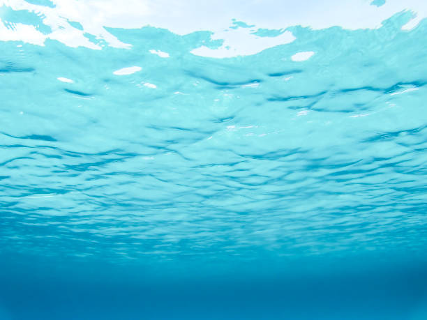 istock Underwater turquoise sea. Sardinia, Italy. 810952508