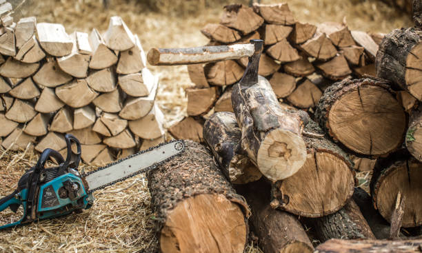 istock Man chopping wood with a chainsaw 810956700