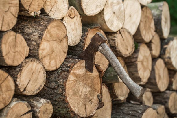istock A deck of stacked logs and an axe 810956734