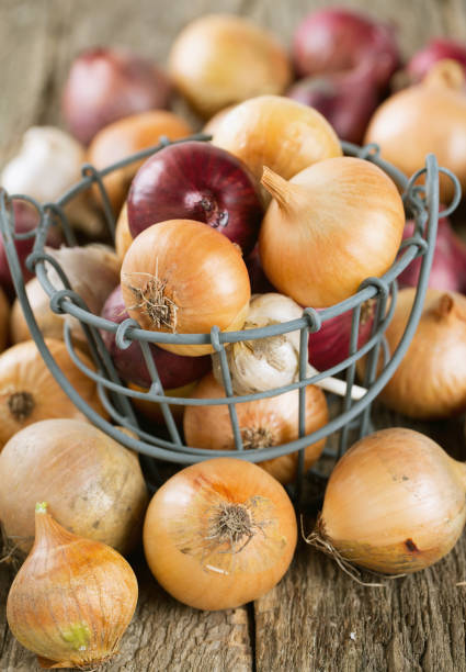 istock red and yellow onion in an iron basket on wooden surface 810965204