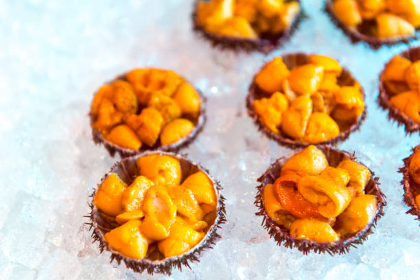 Raw meat from Sea Urchin on ice cubes in the market in Hakodatee Morning Market. Directly above.