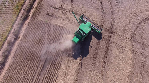 istock Aerial view of combine harvester 810974592