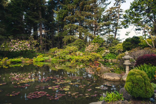 istock Lush flower garden. 810977676