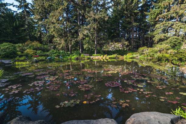 istock Lush flower garden. 810982366