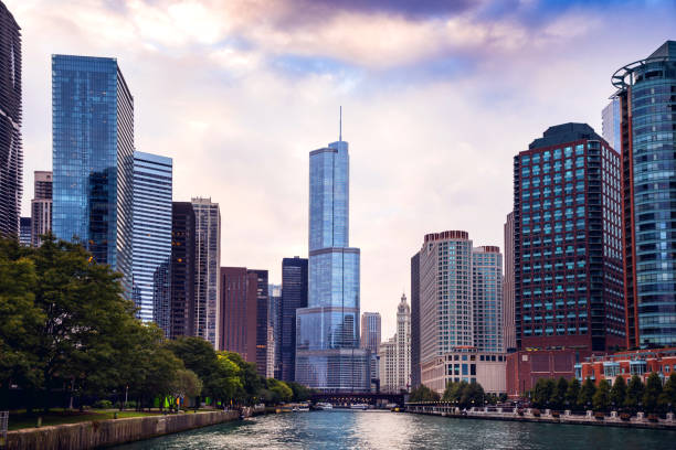 istock Chicago downtown buildings at night 810982662
