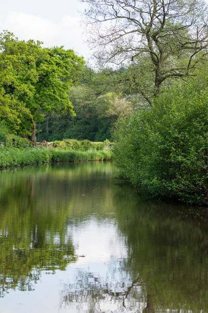 istock Caldon canal on a warm spring day, Staffordshire 810992916