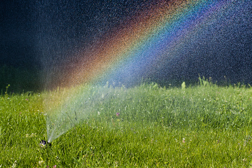 Water is sprayed from the watering hose onto the green luscious grass in the middle of the lawn on a hot, sunny summer day, a watering system, a rainbow