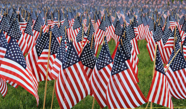 istock lots of American Flags on the meadow 811048586