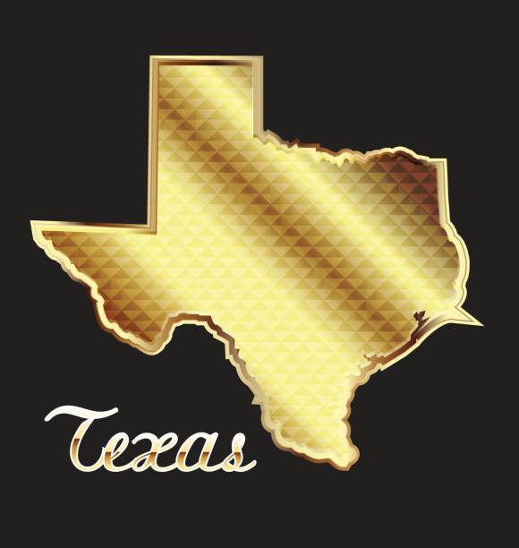Gold Texas state map icon vector image Gold texas state map icon vector illustration corpus christi map stock illustrations