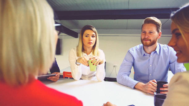 istock Young businesswoman talking about her ideas to team 811056092