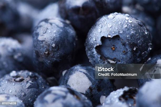Wet Fresh Blueberry Background Stock Photo - Download Image Now - Blueberry, Macrophotography, Close-up