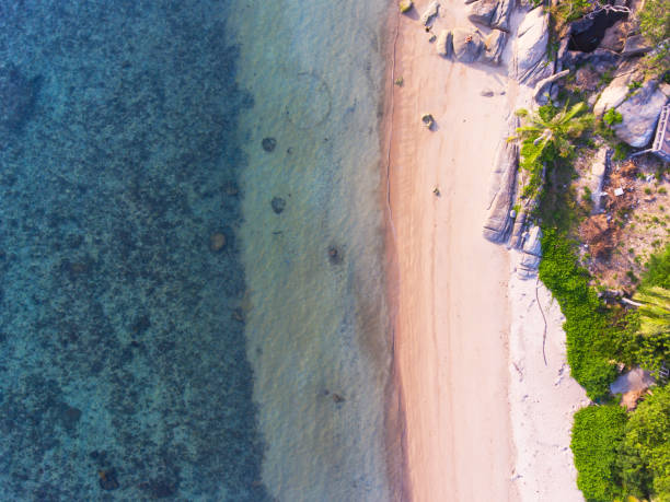istock Aerial view of the beach area 811094424