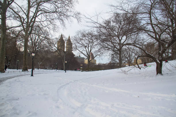 istock Snow at Central Park and buildings in Manhattan 811094610