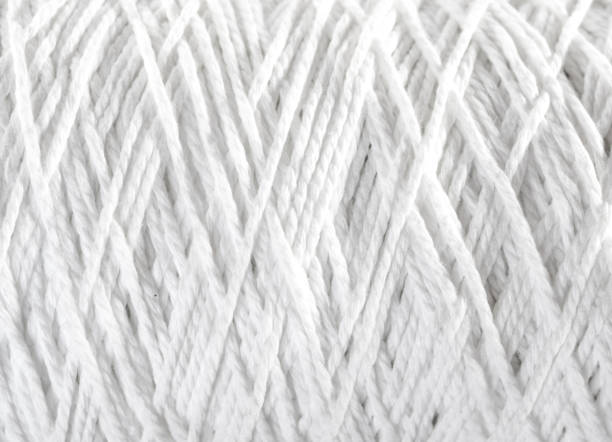 istock Roll of white rope isolated on white background 811103538