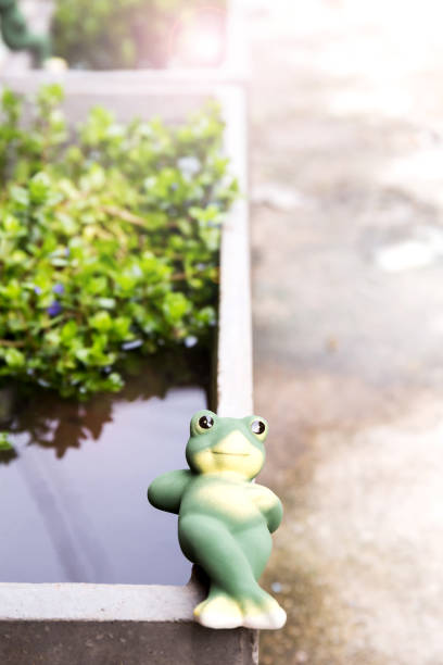 istock Frog clay dolls on timber for garden decor 811119250
