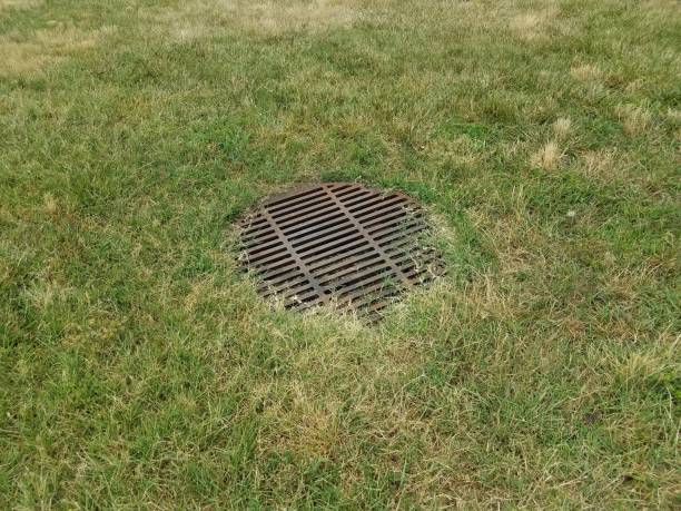 istock metal grate on drain in the grass 811119654