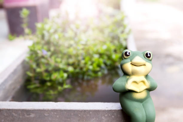 istock Frog clay dolls on timber for garden decor 811119664