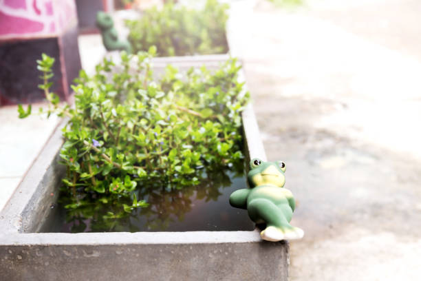 Frog clay dolls on timber for garden decor