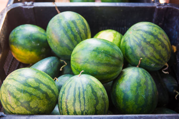 istock fresh watermelon for sell in basket 811124910