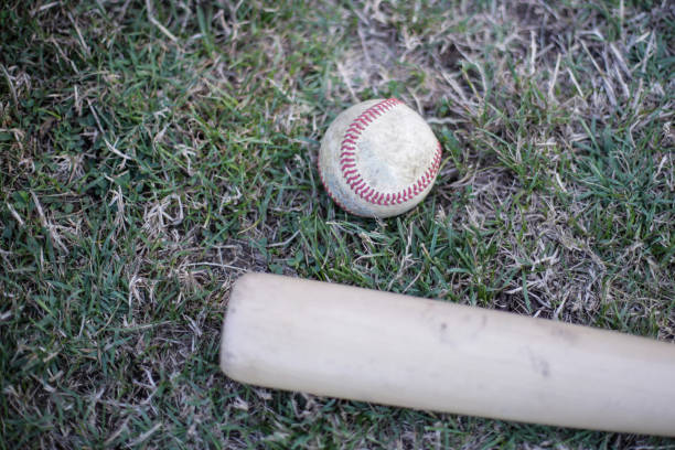野球のバットで - baseball baseball bat bat isolated ストックフォトと画像