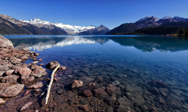 istock Garibaldi Lake in summer, BC, Canada 811141244