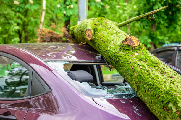 gigantic fallen tree crushed parked car as a result of the severe hurricane winds in one of courtyards of moscow - kolomenskoye imagens e fotografias de stock