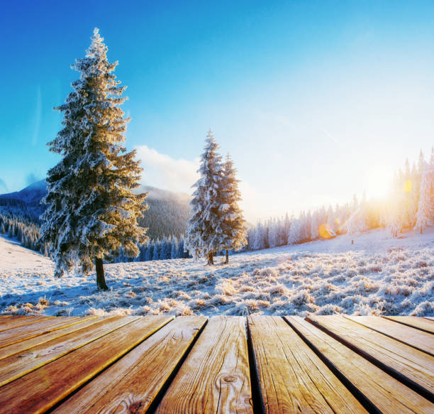 istock Winter landscape on a sunset. Mountains Carpathians 811179698