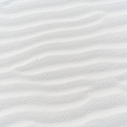 White Sands national monument, New Mexico, USA, North America. Rge bright sunny day