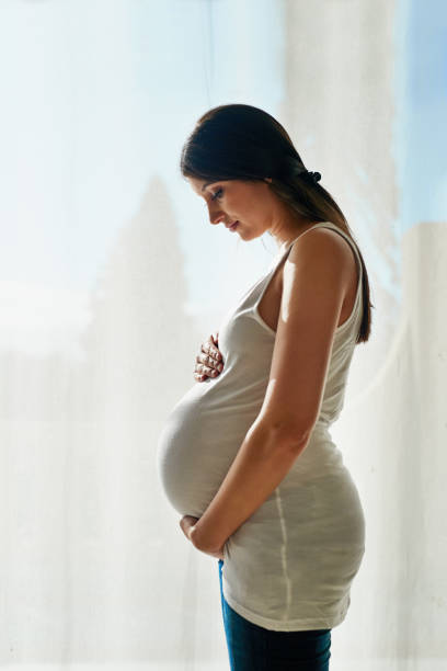 Motherhood is her miracle Shot of a pregnant woman cradling her belly while standing in front of a window at home pregnancy stock pictures, royalty-free photos & images