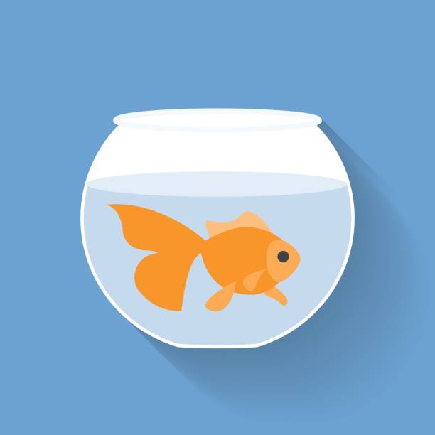 Gold Fish In Bowl Stock Illustration - Download Image Now - Fishbowl,  Goldfish, Vector - iStock