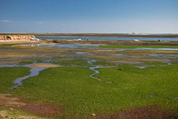 Photo of wonderful colorful landscape of rio formosa natural park, olhao, algarve, portugal