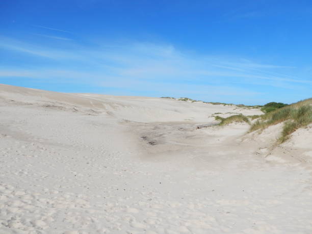 istock Rabjerg mile sand dunes, Skagen, Denmark 811195902
