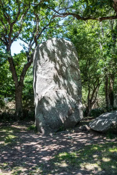 Photo of Giant standing stone in shaded woods in Carnac area, France