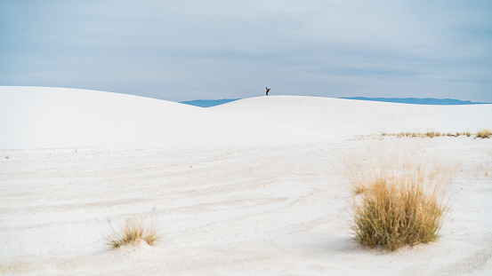 The young heavily tatuated Caucasian man, hipster and traveller, backpacker, exploring the desert in White Sands National Monument, New Mexico, North America