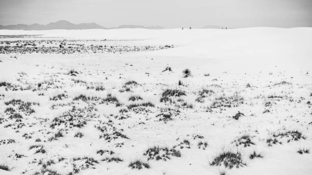 istock The young man, traveller, backpacker, exploring the White Sands National Monument, New Mexico 811214598