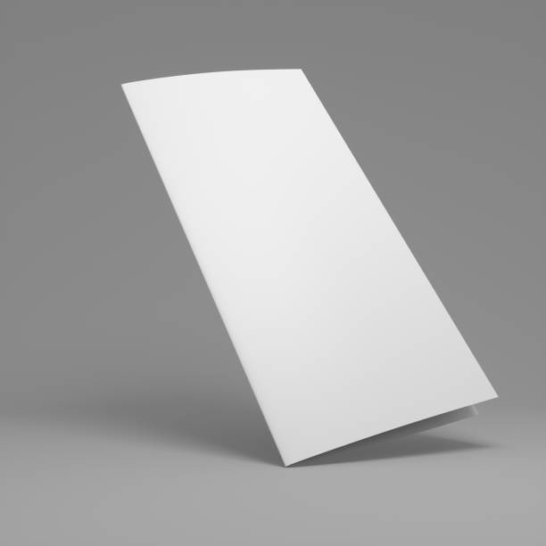 istock 3D rendering blank two fold paper brochure isolated on grey background 811215120