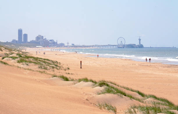 istock Scheveningen skyline seen from the dunes 811219642