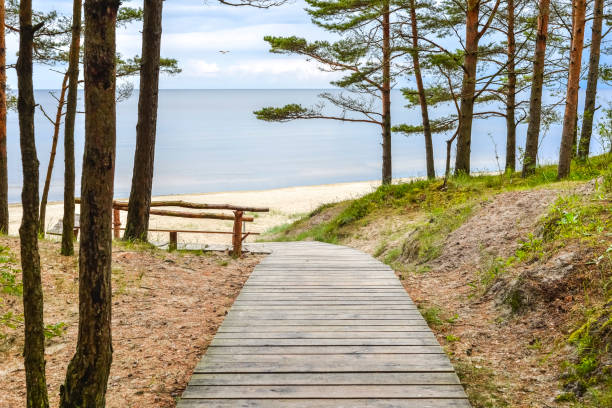 istock Coastal landscape, Baltic Sea 811219878