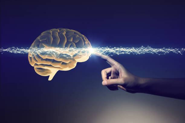 인간의 손과 뇌, 3 차원 렌더링 - laboratory concepts ideas doctor 뉴스 사진 이미지