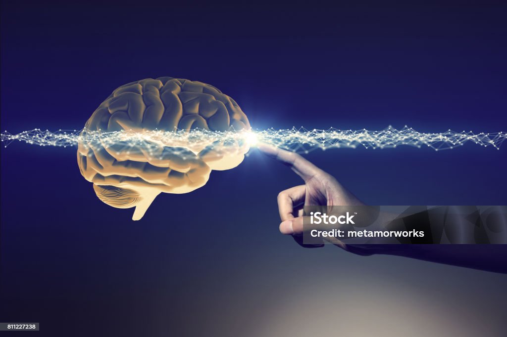 human hand and brain, 3D rendering Neuroscience Stock Photo