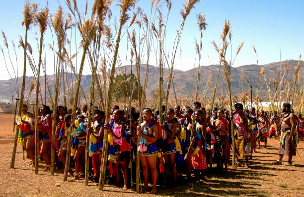 Women in traditional costumes marching at Umhlanga aka Reed Dance 01-09-2013 Lobamba, Swaziland stock photo